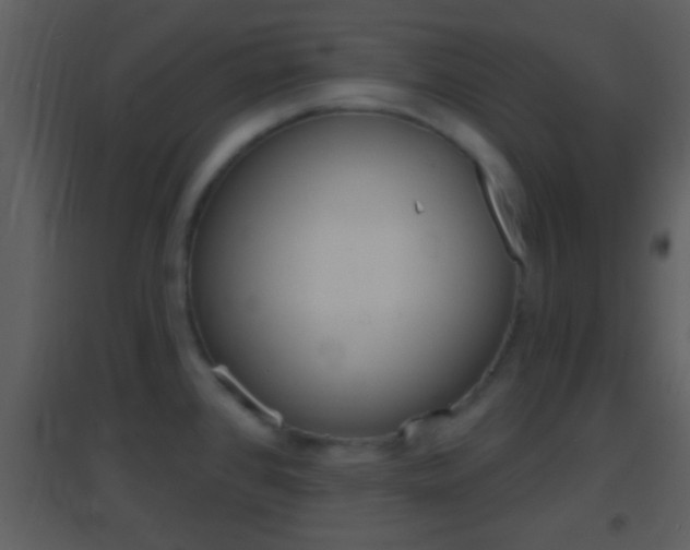 X0000095531384200712140924