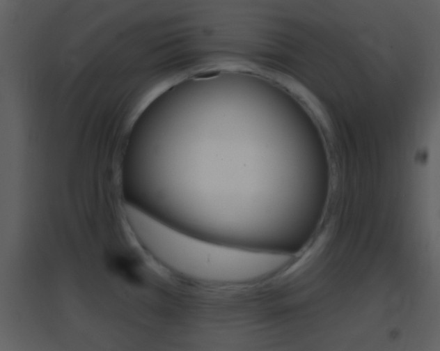 X0000095531385200712140924