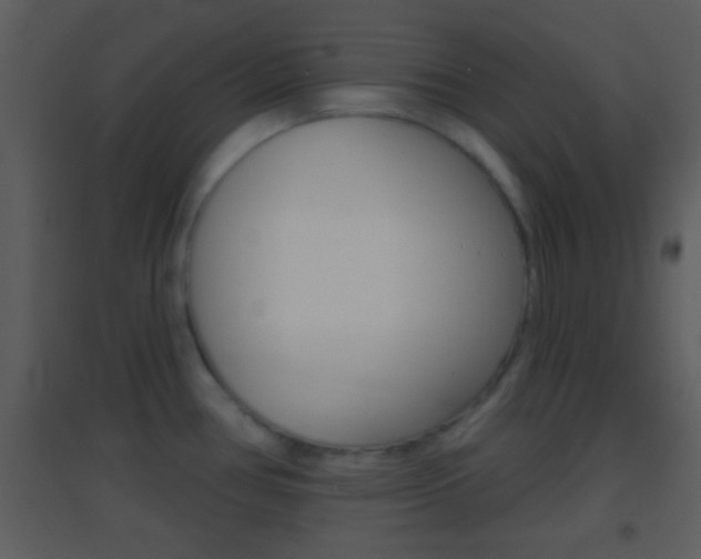 X0000095531386200712140924