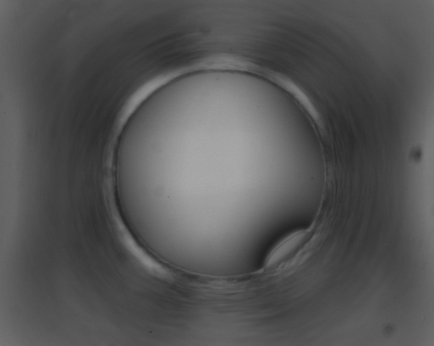 X0000095531387200712140924