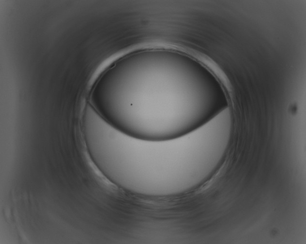 X0000095531388200712140924