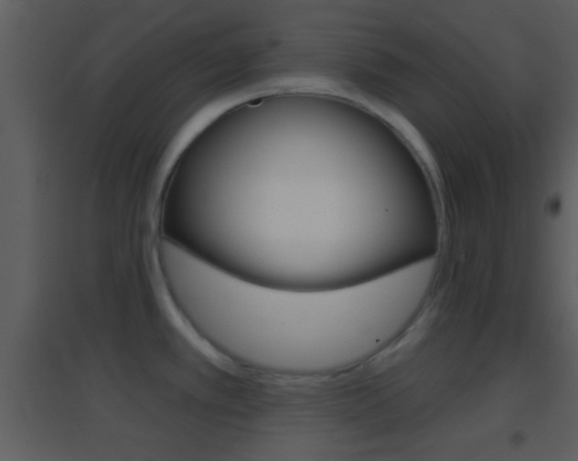X0000095531389200712140924