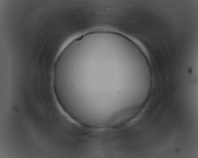 X0000095531390200712140924