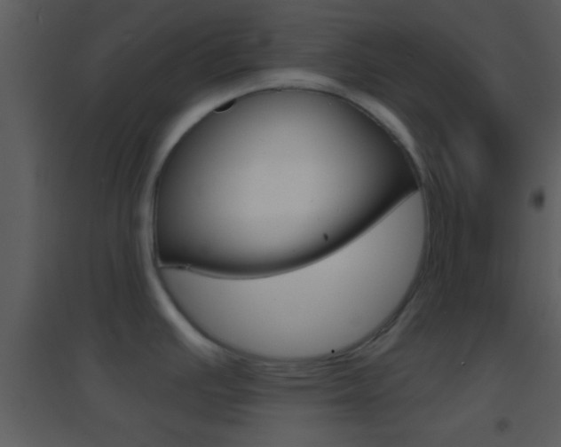 X0000095531391200712140924
