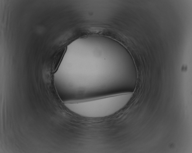 X0000095531394200712140923