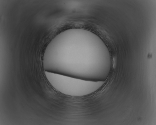 X0000095531395200712140923