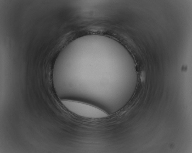 X0000095531396200712140923