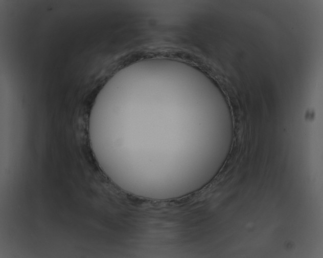 X0000095531397200712140923