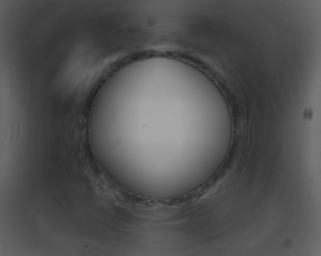 X0000095531398200712140924