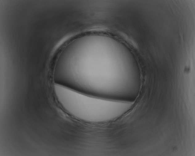 X0000095531400200712140924