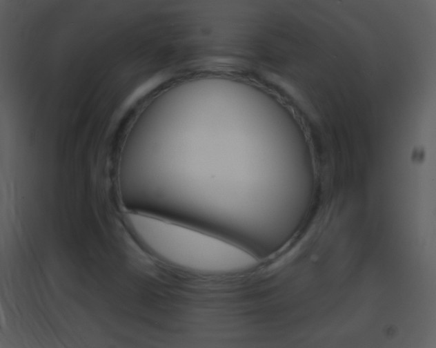 X0000095531402200712140924