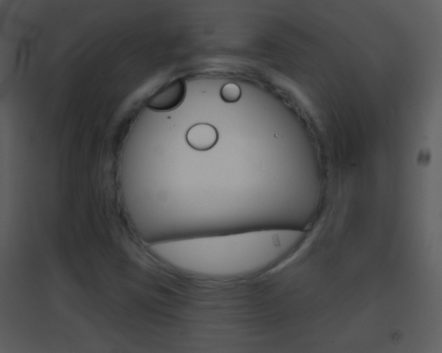 X0000095531403200712140924
