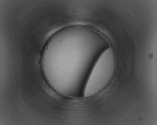 X0000095531404200712140924