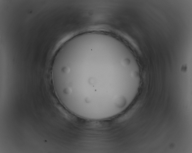 X0000095531405200712140924