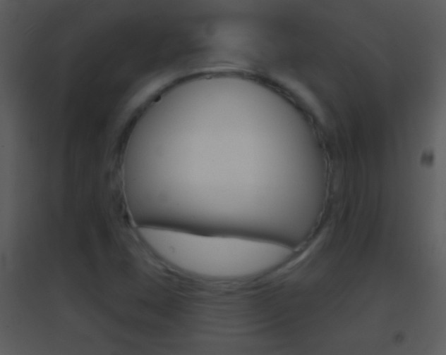 X0000095531407200712140924