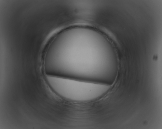 X0000095531408200712140924