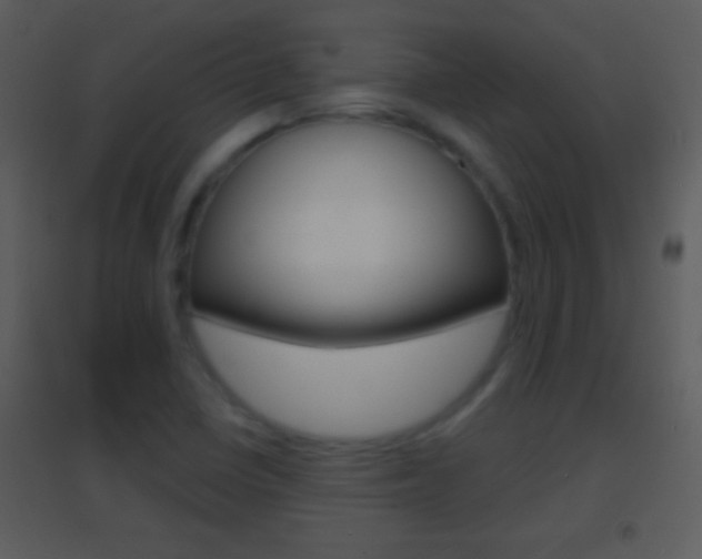 X0000095531410200712140924