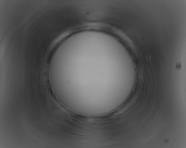 X0000095531411200712140924