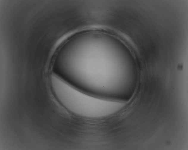 X0000095531412200712140924