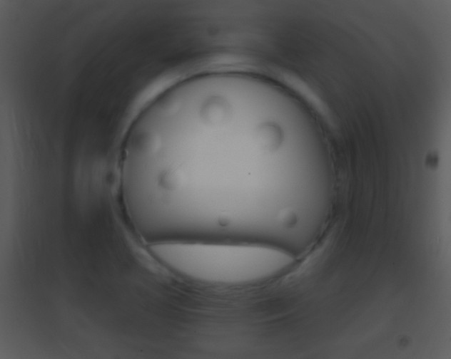 X0000095531413200712140924