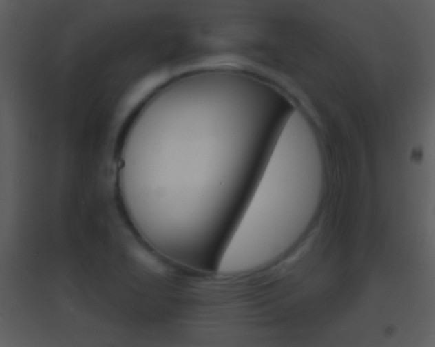 X0000095531414200712140924