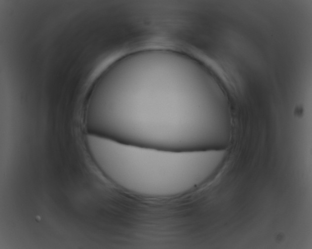 X0000095531415200712140924