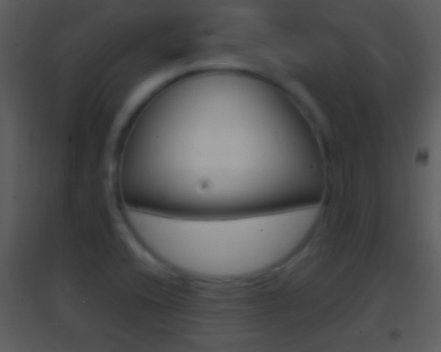 X0000095531416200712140924