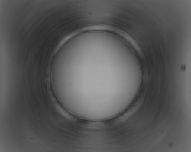 X0000095531417200712140924