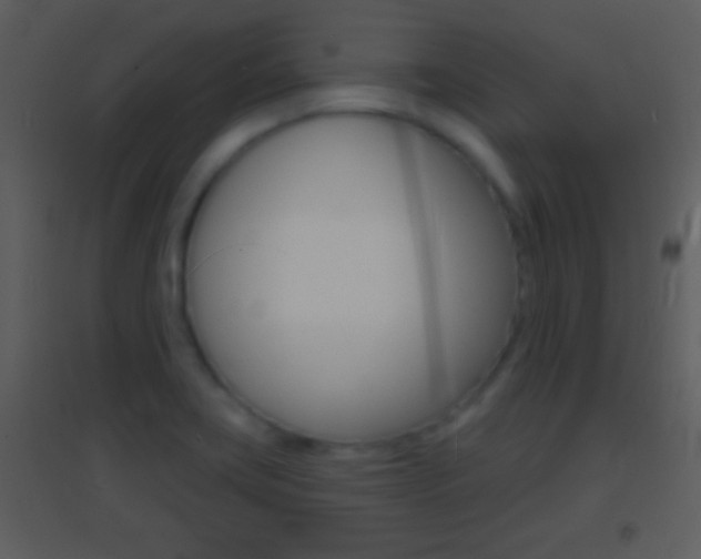 X0000095531419200712140924