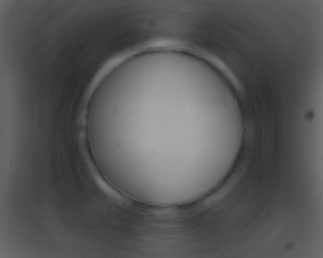 X0000095531421200712140924