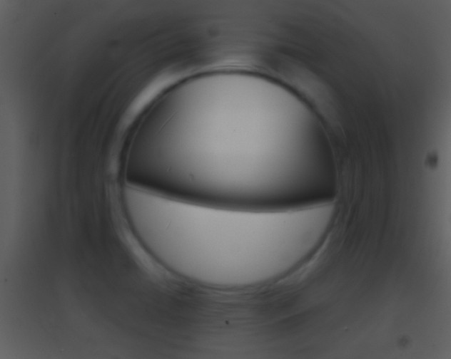 X0000095531422200712140924