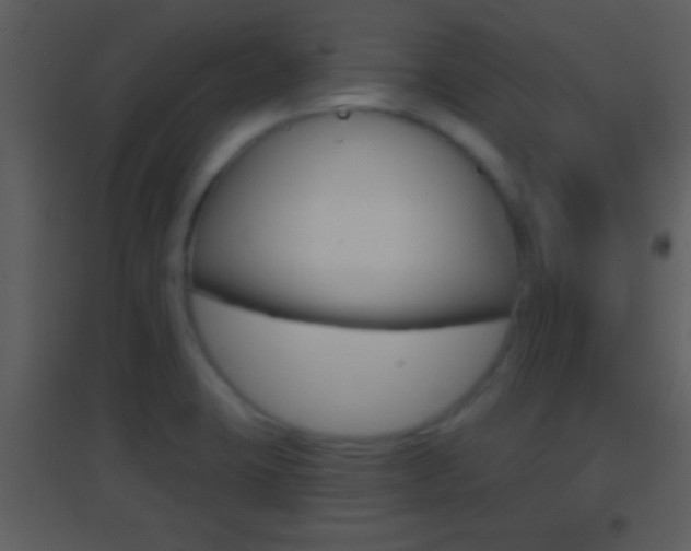X0000095531423200712140924