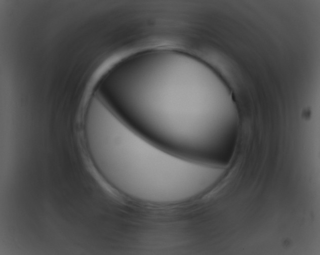 X0000095531424200712140924