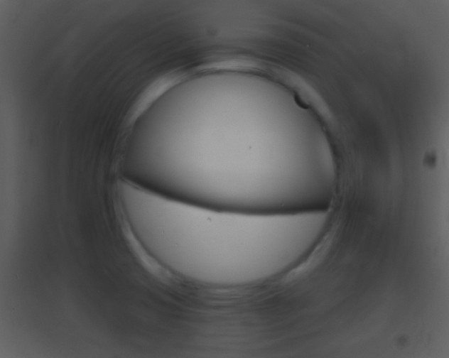 X0000095531425200712140924