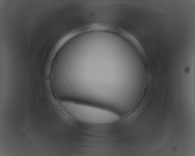 X0000095531427200712140924