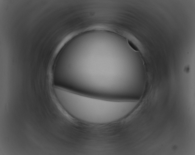 X0000095531428200712140924