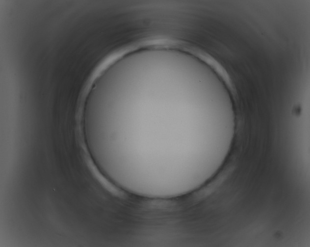 X0000095531429200712140924