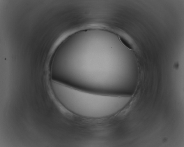 X0000095531430200712140924