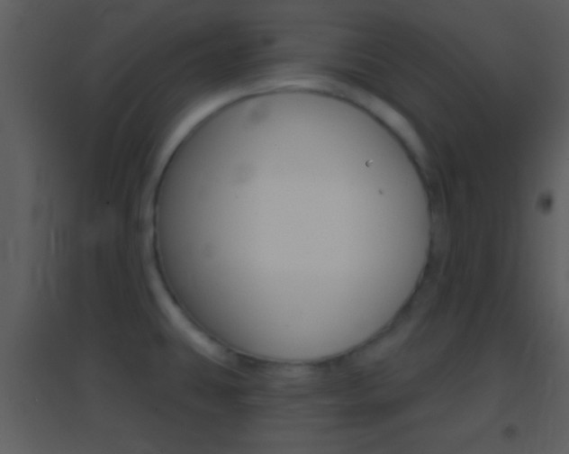 X0000095531431200712140924