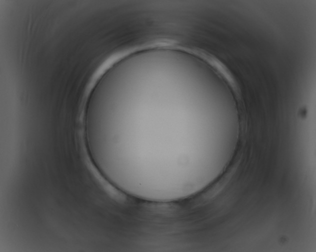 X0000095531432200712140924