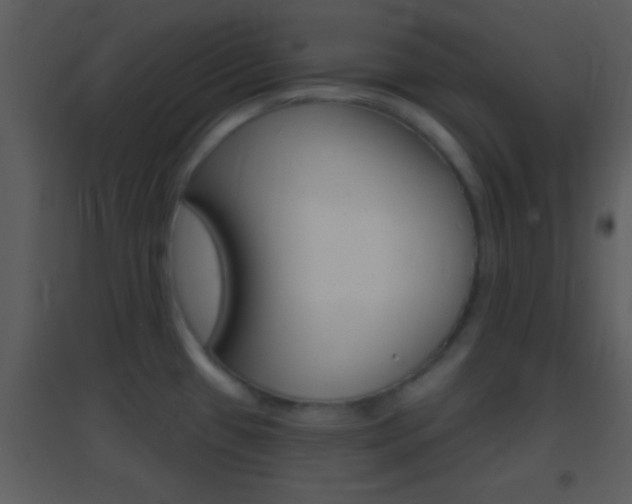 X0000095531433200712140924