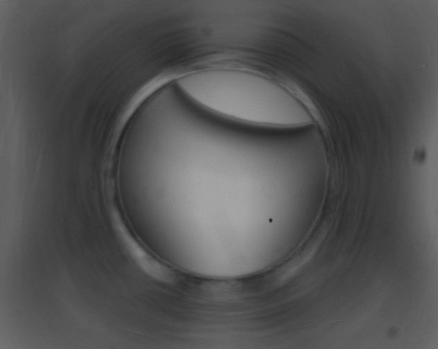 X0000095531434200712140924