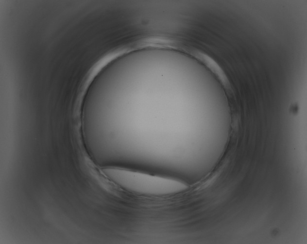 X0000095531435200712140924