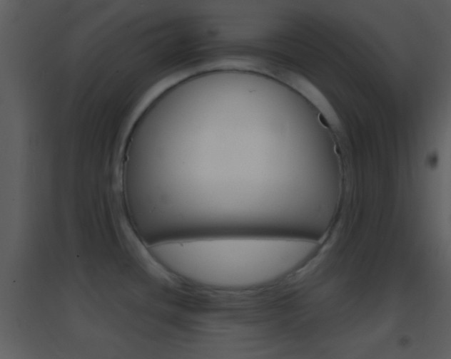 X0000095531436200712140924