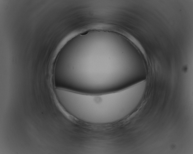 X0000095531437200712140924