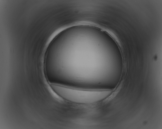 X0000095531438200712140924