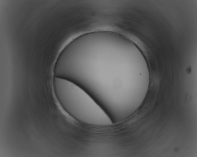 X0000095531439200712140924