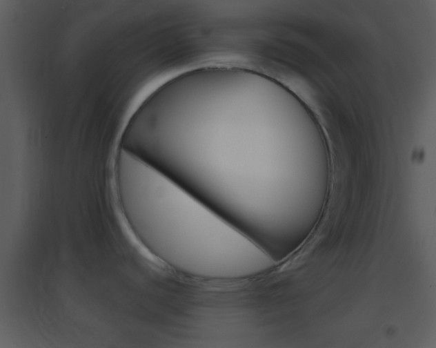 X0000095531440200712140924
