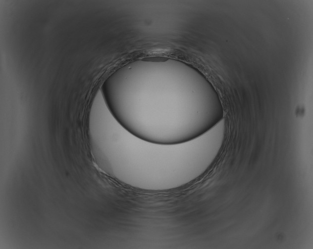 X0000095531441200712140923