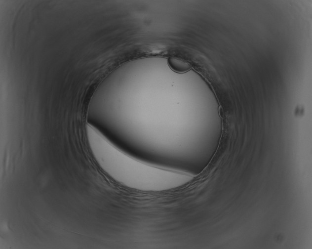 X0000095531442200712140923